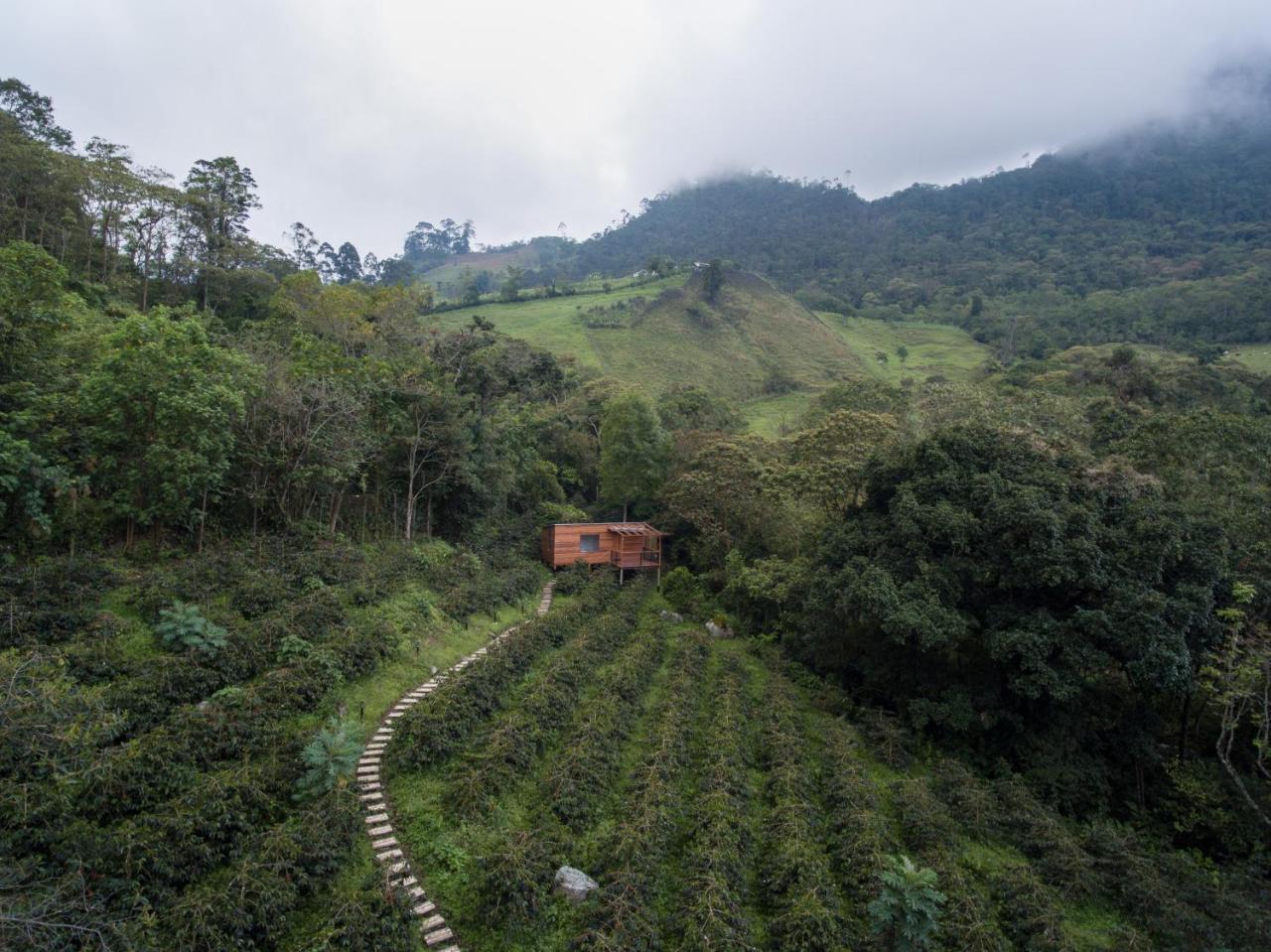 La Palma y El Tucan Coffee&Adventure Hotel Zipacon Exterior foto